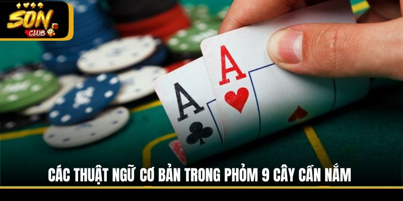 Các thuật ngữ cơ bản trong Phỏm 9 cây cần nắm
