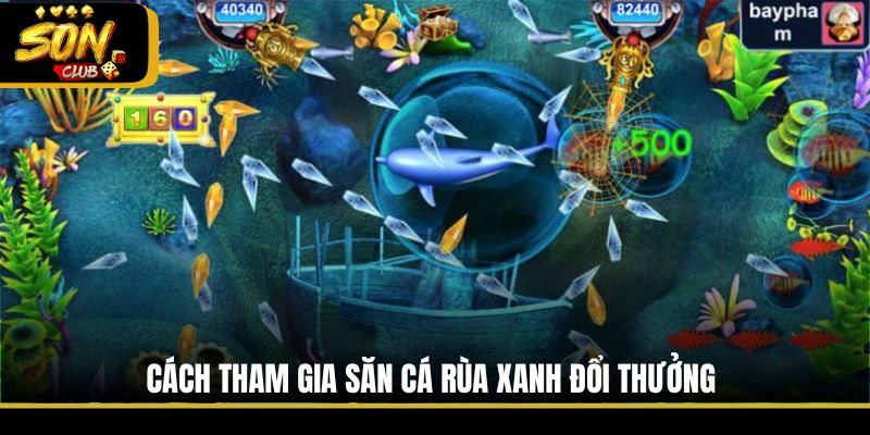 Cách tham gia săn cá rùa xanh đổi thưởng